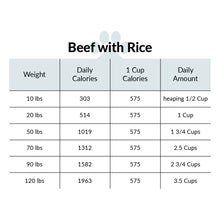 Load image into Gallery viewer, Beef with Rice
