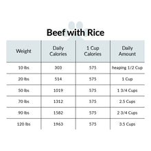 Load image into Gallery viewer, Beef with Rice